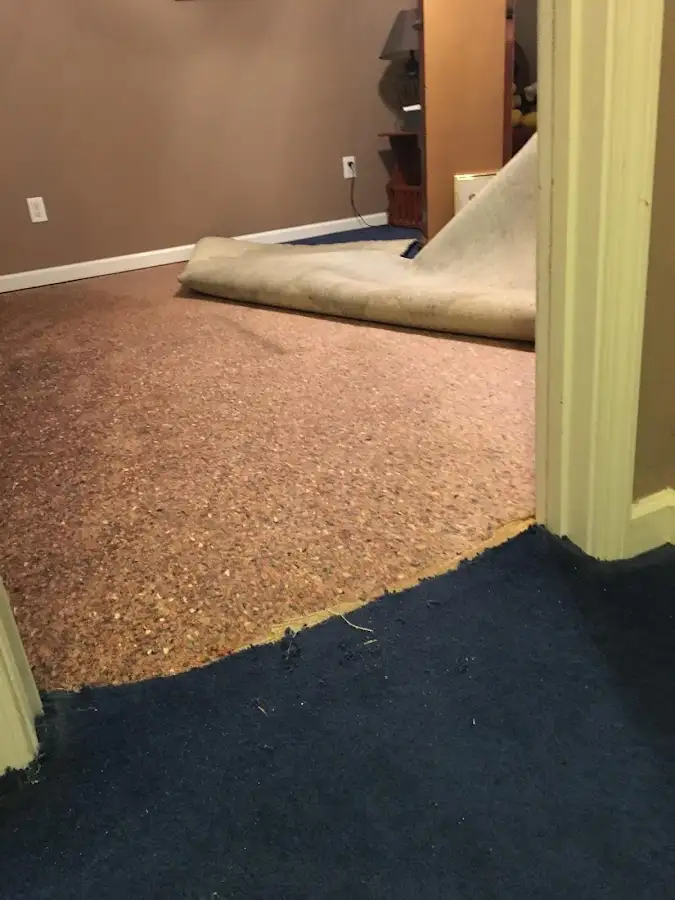 Carpet pad removal revealing water damage during Water Mitigation Services in Terrytown