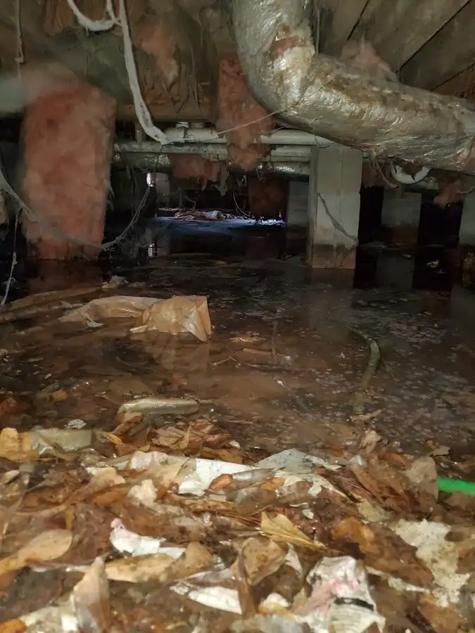 Crawl space flood assessment for Commercial Water Damage Restoration in Terrytown