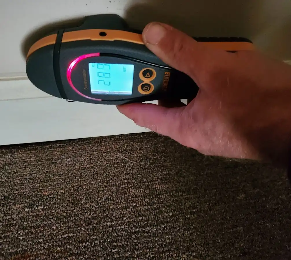 Moisture detection at baseboard during Sewage Cleanup & Sanitation in Terrytown